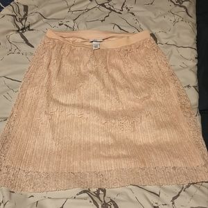Blush Lace Skirt